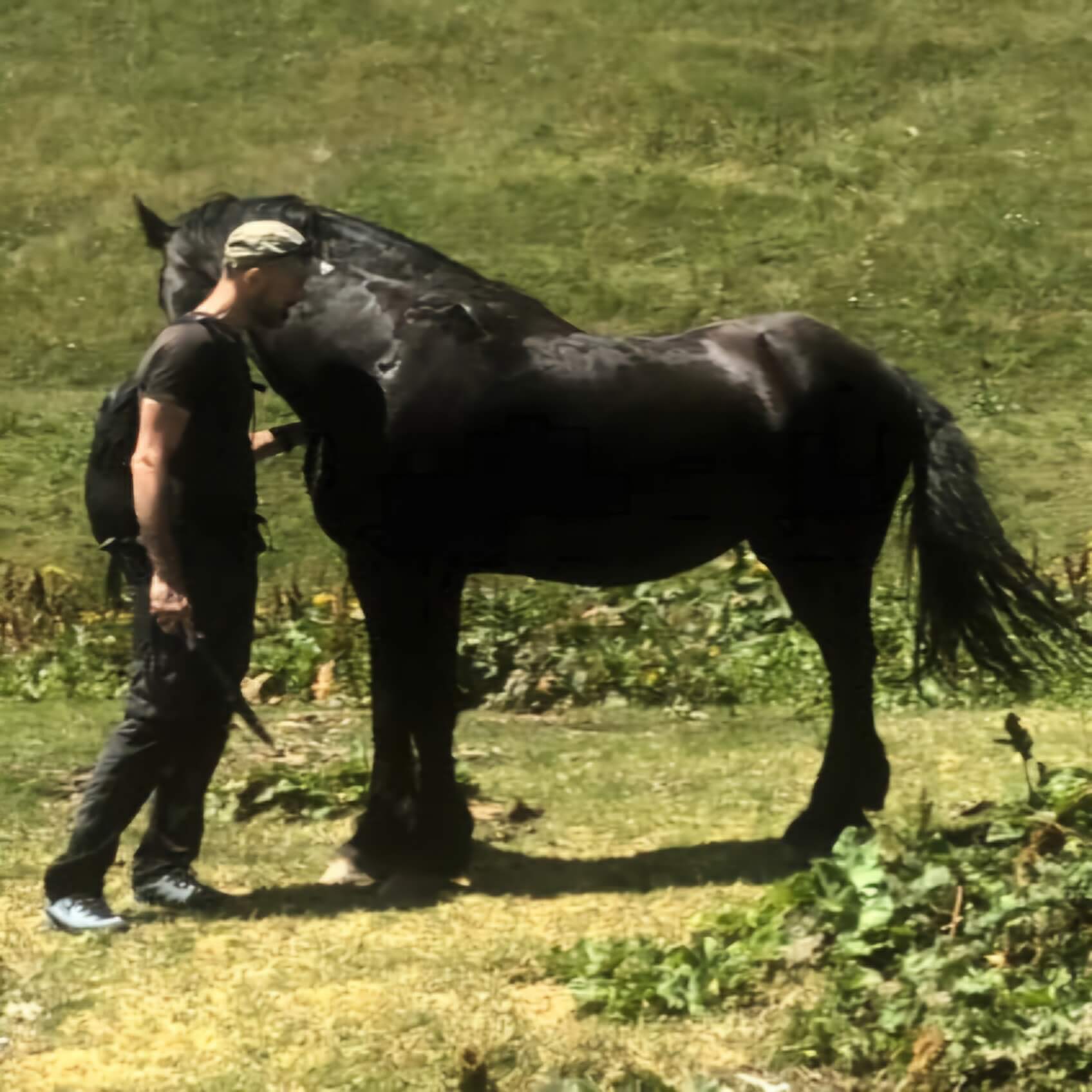 Mauro Semenzato - Dialogo tonico-posturale con un cavallo al pascolo in montagna